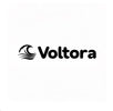 Voltora – Pradžia
